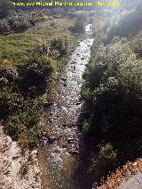 Río Frío. Desde el Puente Bajo